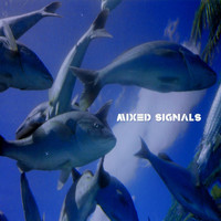 Deer - Mixed Signals