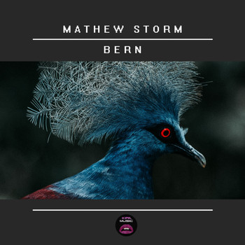 Mathew Storm - Bern