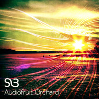 Static Noise Bird / - Audiofruit Orchard