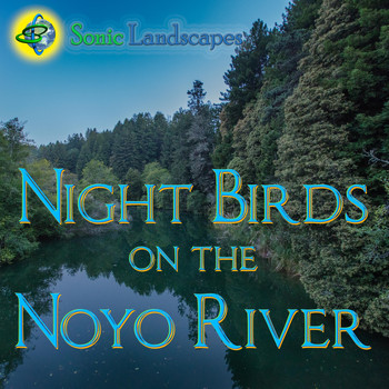 Sonic Landscapes - Night Birds on the Noyo River
