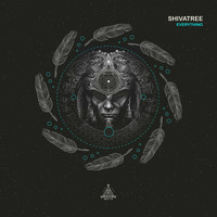Shivatree - Everything