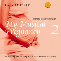 Raimond Lap - My Musical Pregnancy 2