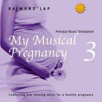 Raimond Lap - My Musical Pregnancy 3