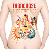 Mongoose - The Bottom Line