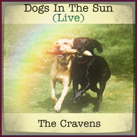 The Cravens - Dogs in the Sun (Live)