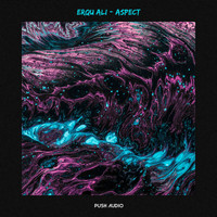 Erqu Ali - Aspect