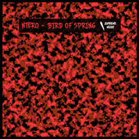 Ntero - Bird of Spring