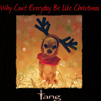 Tang - Why Can't Everyday Be Like Christmas