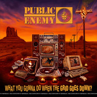 Public Enemy - What You Gonna Do When The Grid Goes Down? (Explicit)