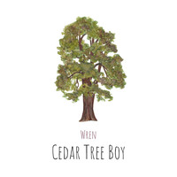Wren - Cedar Tree Boy (feat. Krista Detor)