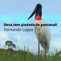 Fernando Lopez - Deus, Tem Piedade do Pantanal