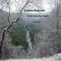 Stephen Majewski - Never Going Back Again