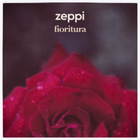 Zeppi - fioritura