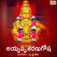 Parthasaradhi - Ayyappa Sharanu Ghosha