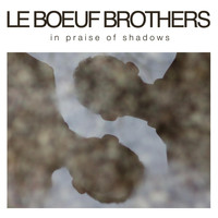 Le Boeuf Brothers - In Praise of Shadows