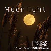 Green Music BGM channel - Moonlight