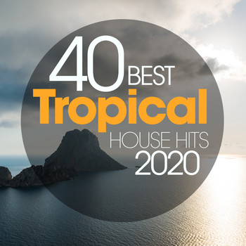Various Artists - 40 Best Tropical House Hits 2020