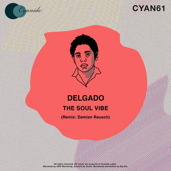 Delgado - The Soul Vibe