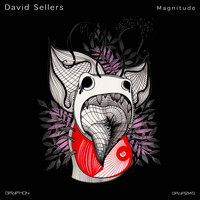 David Sellers - Magnitude