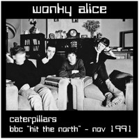 Wonky Alice - Caterpillars - Live at the BBC