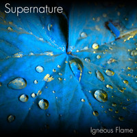 Igneous Flame - Supernature