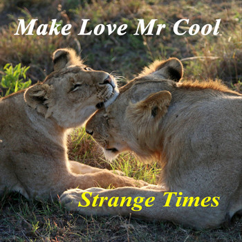 Strange Times - Make Love Mr Cool