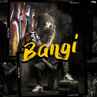 Fellow - Bangi