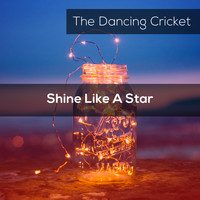 The Dancing Cricket - Shine Like a Star