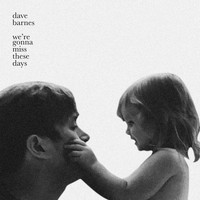 Dave Barnes - We're Gonna Miss These Days
