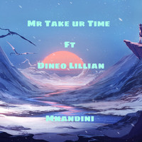 Mr Take ur Time / - Mnandini