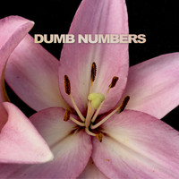 Dumb Numbers - The Longest Goodbye b/w Looking Forlorn In All The Wrong Places