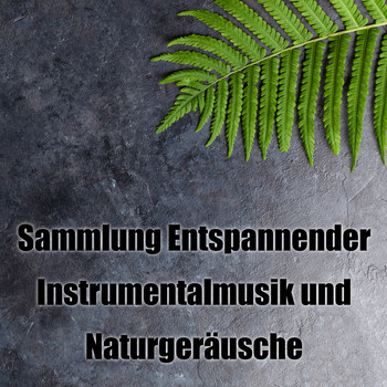 Helande Instrumentalmusik Akademi - Sammlung Entspannender Instrumentalmusik und Naturgeräusche