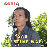 Sodiq - Sak Mestine Wae