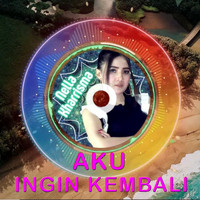 Nella Kharisma - Aku Ingin Kembali (Remix)