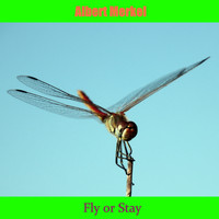 Albert Merkel - Fly or Stay (Explicit)