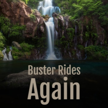 Various Artists - Buster Rides Again