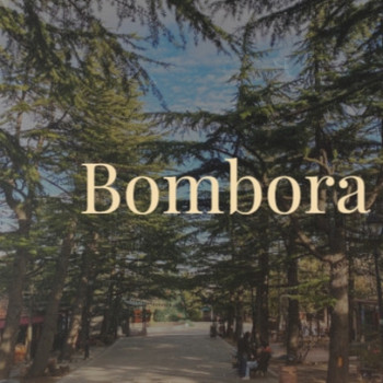 Various Artists - Bombora
