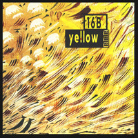 16B and Omid 16B - Yellow (Single)