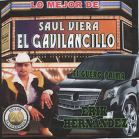 Saul Viera el Gavilancillo - Lo Mejor De