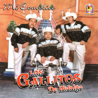Los Gallitos De Hidalgo - Mi Cómplice