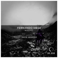 Fernando Mesa - Rolling