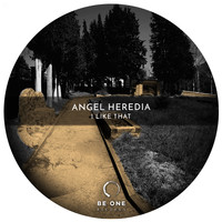 Angel Heredia - I Like That