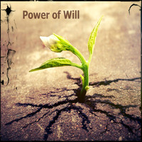 AlNi - Power of Will