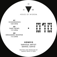 Daniel Savio - VARIOUS ARTIST