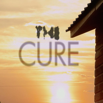Anthony Johnson - The Cure