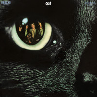 Cat - Cat