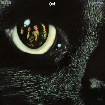 Cat - Cat