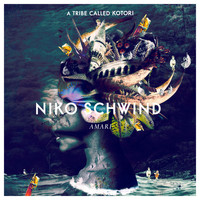 Niko Schwind - Amari
