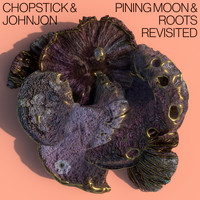 Chopstick & Johnjon - Pining Moon & Roots Revisited