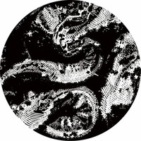 Chaos In the CBD - No Signal Found